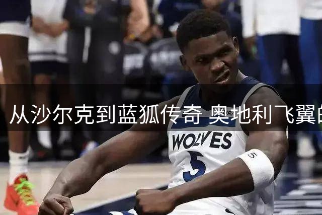 从沙尔克到蓝狐传奇 奥地利飞翼的绿茵人生