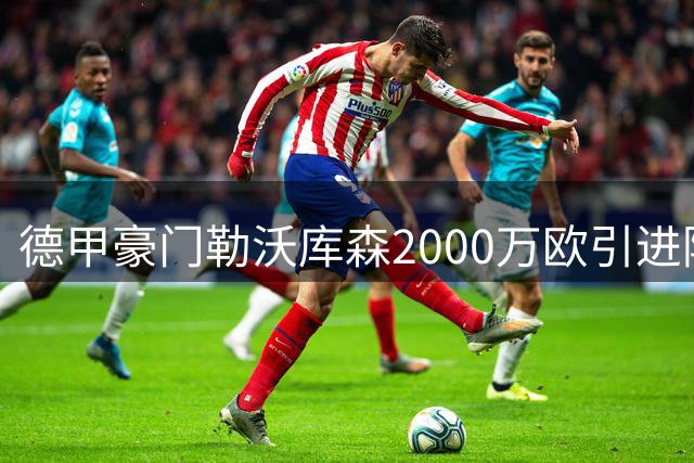 德甲豪门勒沃库森2000万欧引进阿根廷国脚梅迪纳