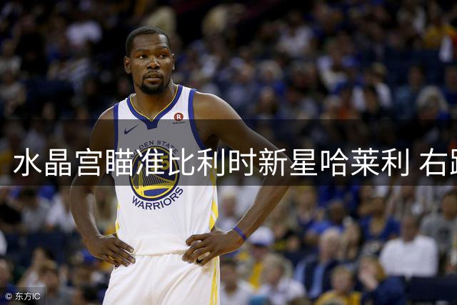 水晶宫瞄准比利时新星哈莱利 右路或将迎来双翼齐飞