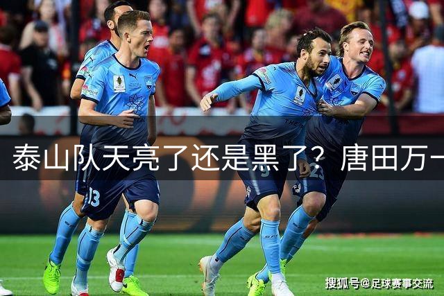 泰山队天亮了还是黑了？唐田万一赢了海港呢！陈蒲致歉，球迷并不买账